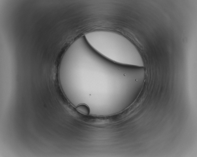 X0000113180458200909040958