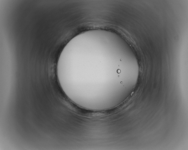 X0000113180462200909040958