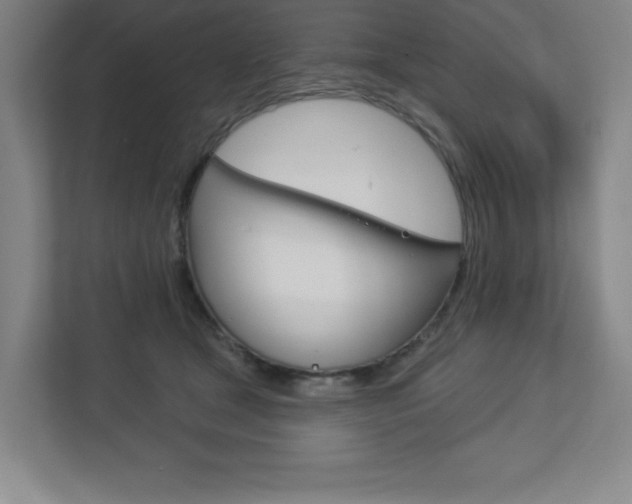 X0000113180465200909040958