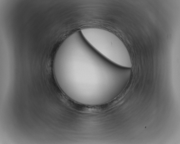X0000113180466200909040958