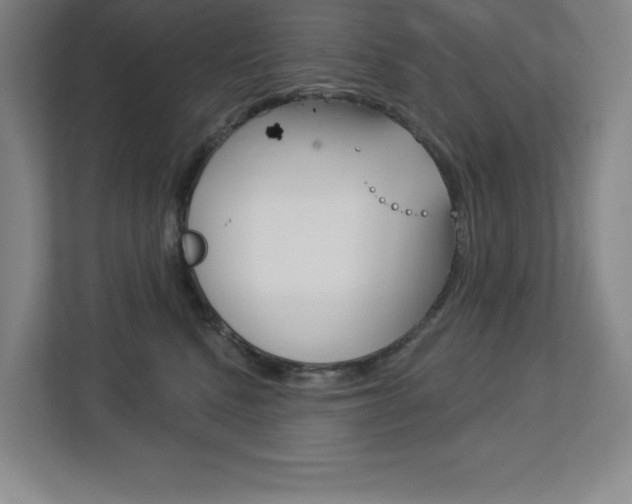 X0000113180472200909040958