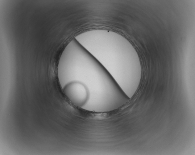 X0000113180474200909040958