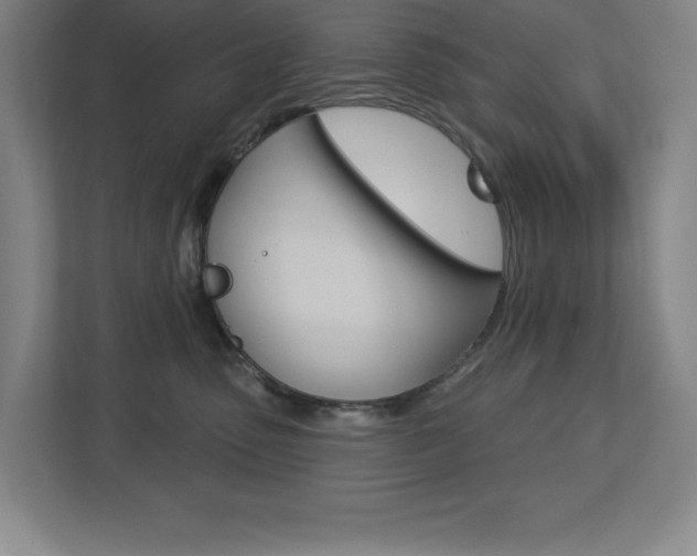 X0000113180475200909040958