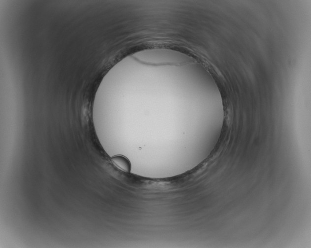 X0000113180476200909040958