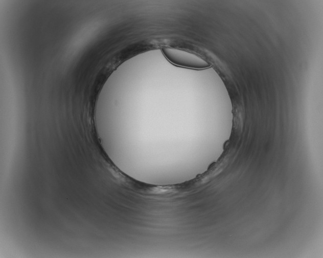 X0000113180477200909040958