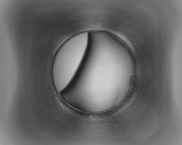 X0000113180481200909040957