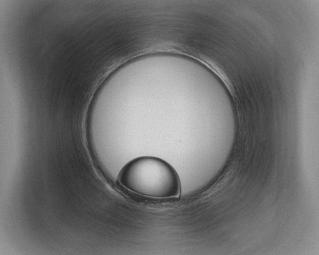 X0000113180485200909040957