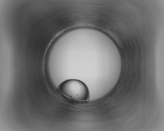 X0000113180488200909040957