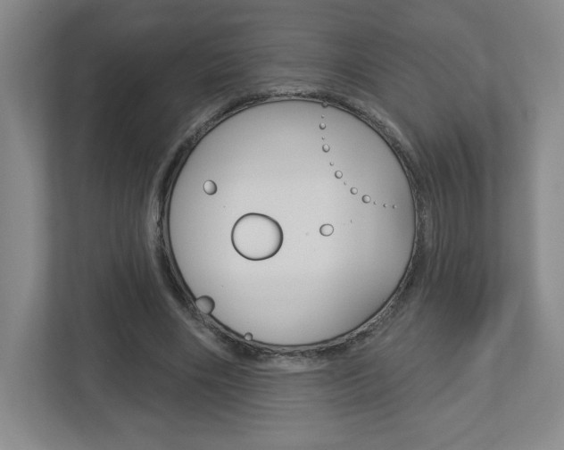 X0000113180490200909040957