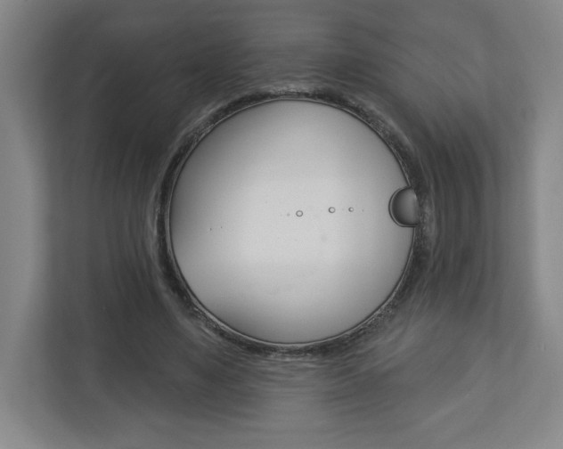 X0000113180491200909040957
