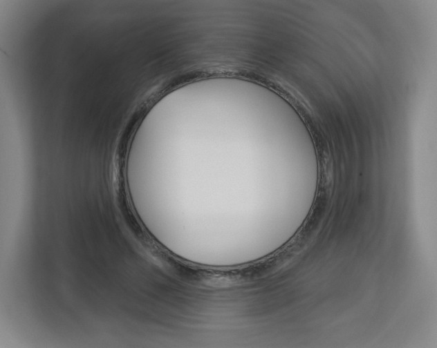 X0000113180494200909040957