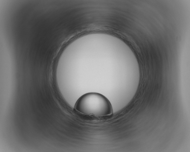 X0000113180496200909040957