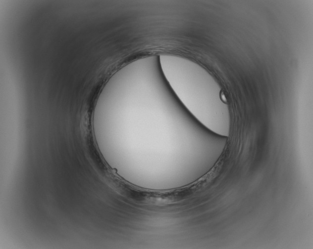 X0000113180498200909040957