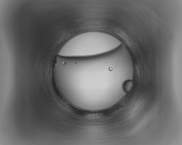 X0000113180499200909040957