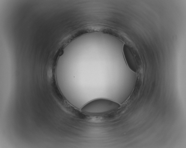 X0000113180500200909040957