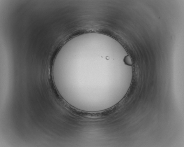 X0000113180502200909040957