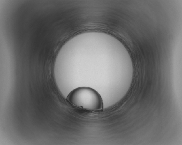 X0000113180504200909040957