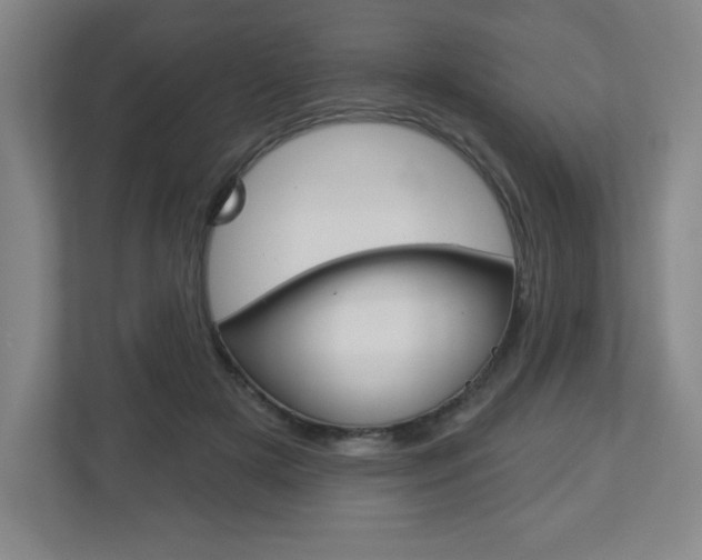 X0000113180505200909040957