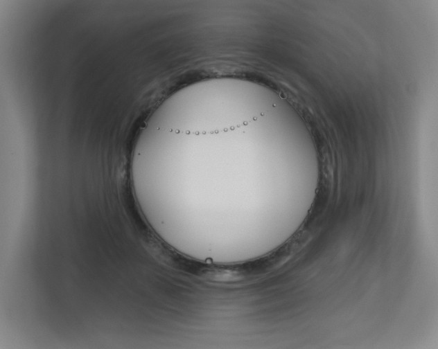 X0000113180507200909040957