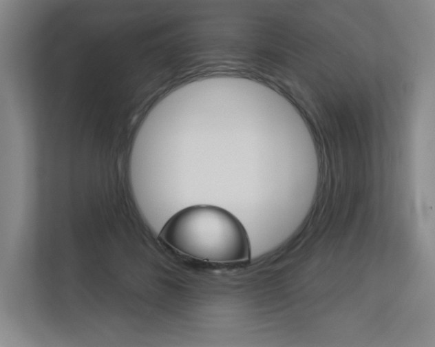 X0000113180508200909040957