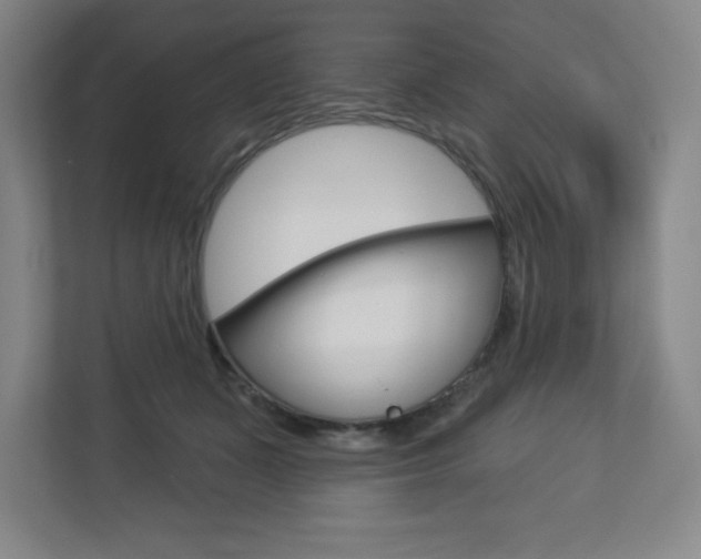 X0000113180511200909040957