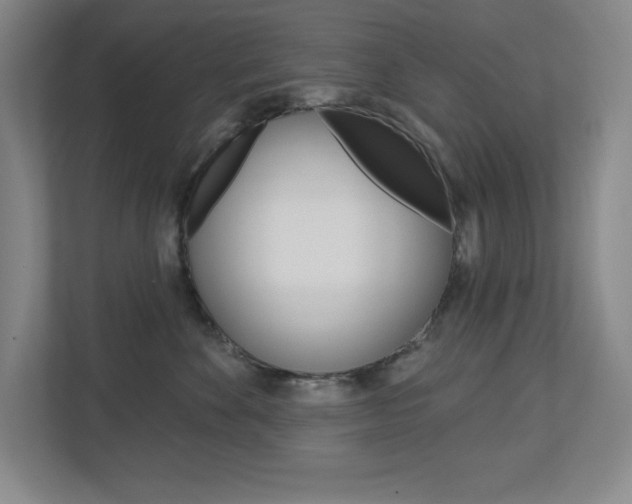 X0000113180524200909040957