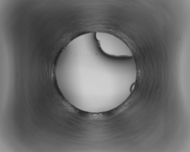 X0000113180525200909040957