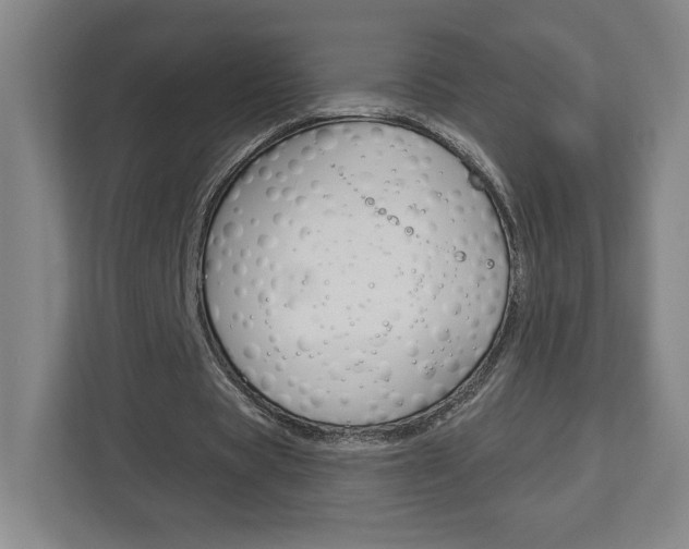 X0000113180529200909040956