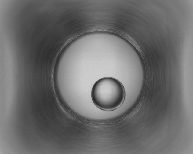 X0000113180530200909040956