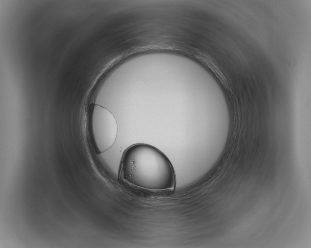 X0000113180534200909040956