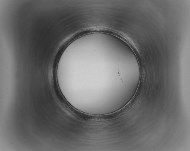 X0000113180535200909040956