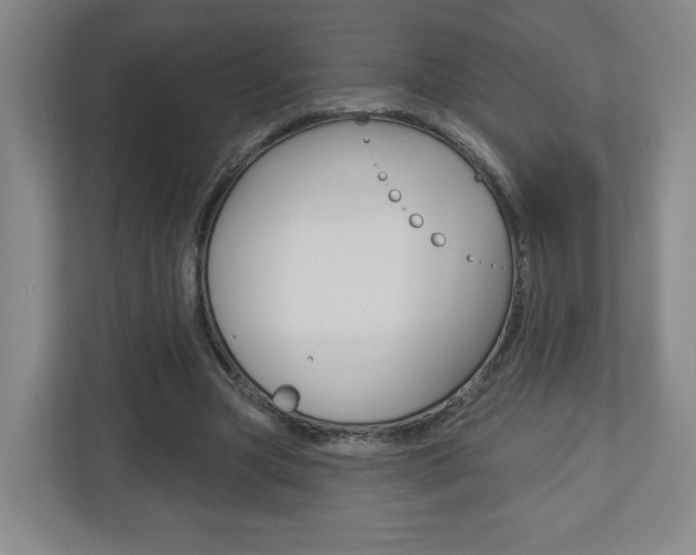 X0000113180537200909040956