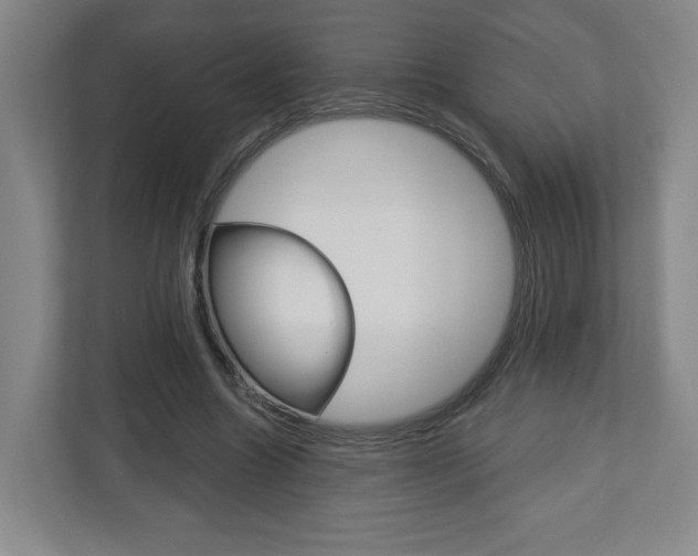 X0000113180538200909040956