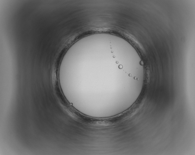 X0000113180541200909040956