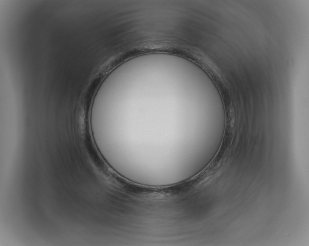 X0000113180542200909040956