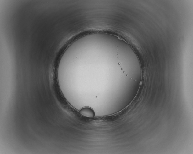 X0000113180544200909040956