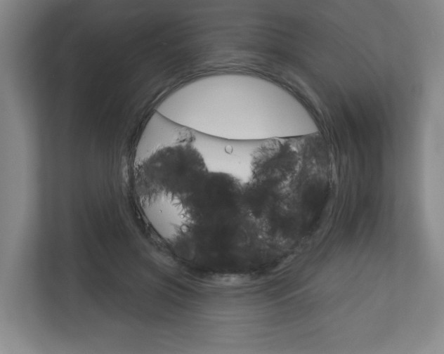 X0000113180549200909040956