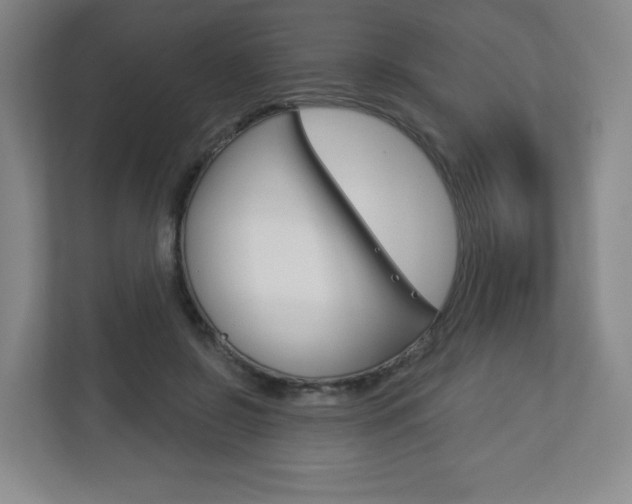 X0000113180550200909040956