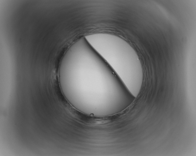 X0000113180555200909040956