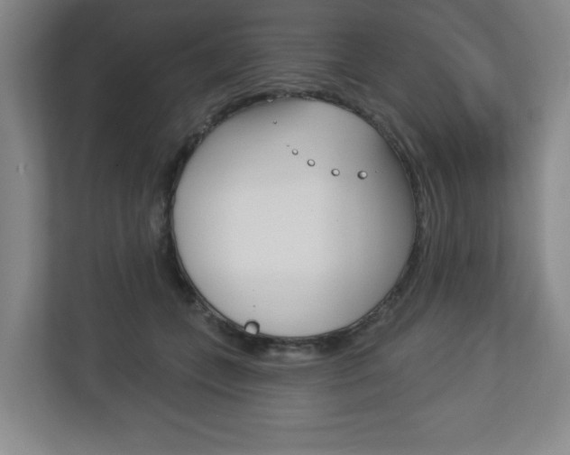 X0000113180559200909040956