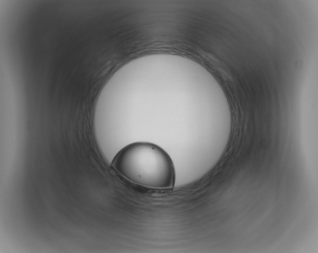 X0000113180560200909040956