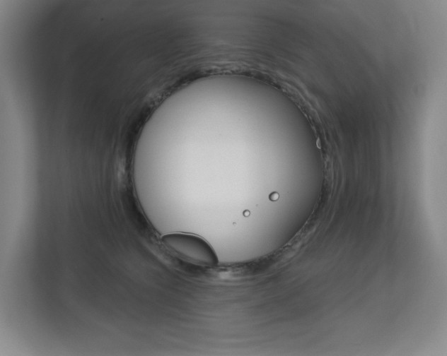 X0000113180564200909040956