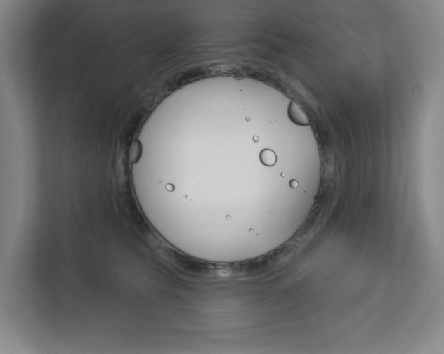 X0000113180565200909040956