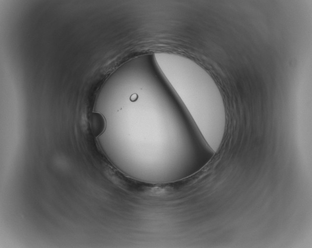 X0000113180566200909040956