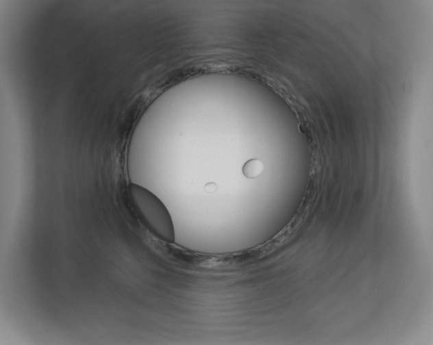 X0000113180568200909040956