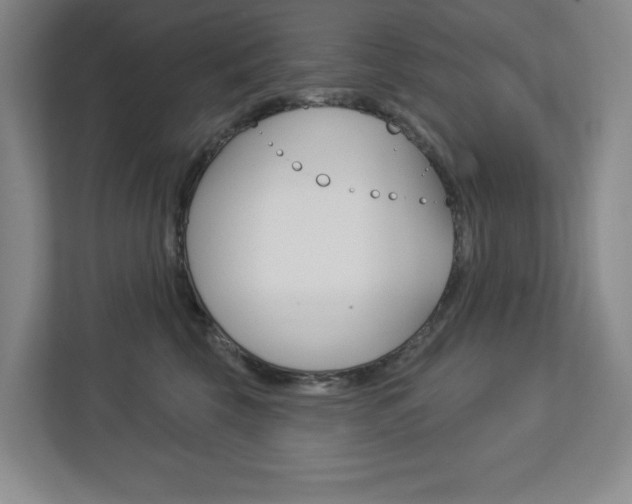 X0000113180569200909040956