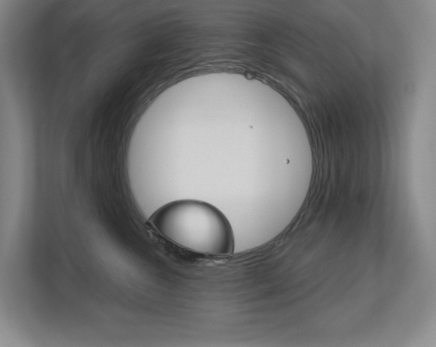 X0000113180572200909040956
