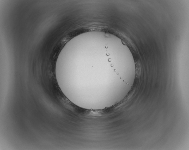 X0000113180573200909040957