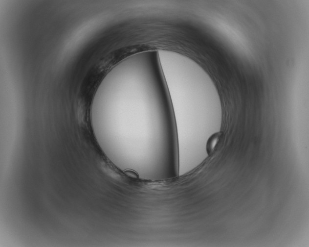 X0000113180574200909040957