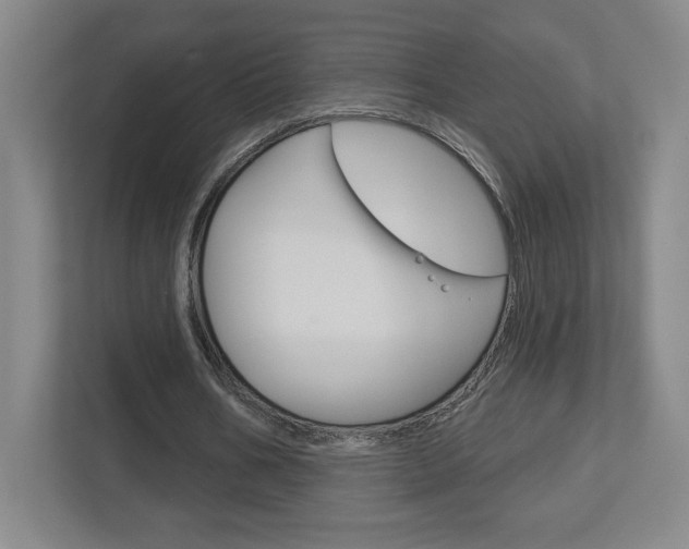 X0000113180578200909040956